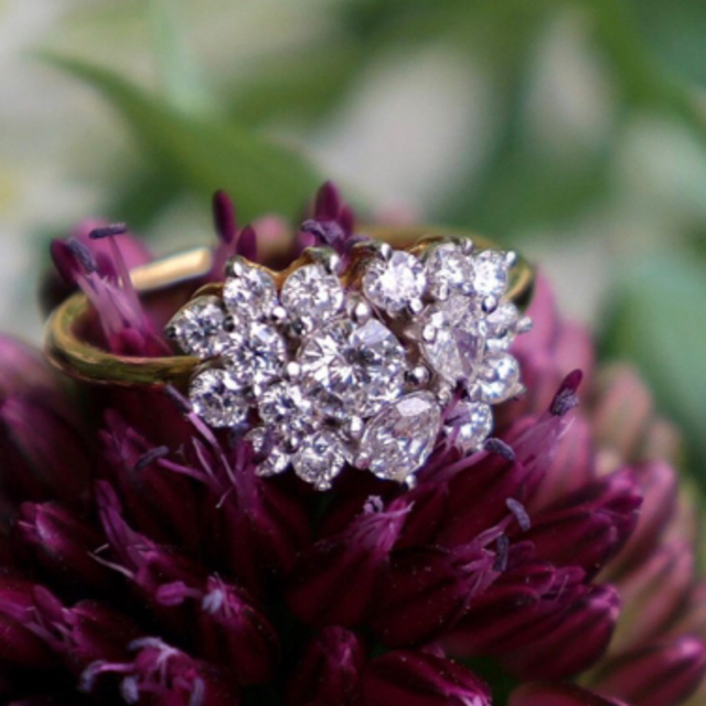 定価44万☆plant plant Diamond Cluster Ring カタログギフトも