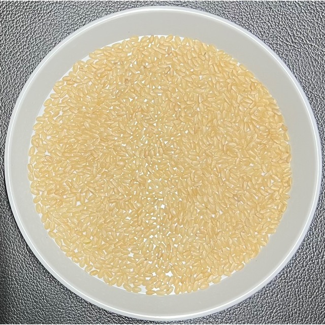 送料無料 一等検査米 新米 令和4年 京都 丹後 米 コシヒカリ 玄米 10kg 食品/飲料/酒の食品(米/穀物)の商品写真