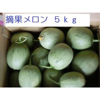 摘果メロン５ｋｇ【北海道　農家直送】(野菜)