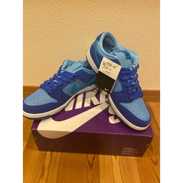 Nike SB Dunk Low Blue Raspberry 29.0cm