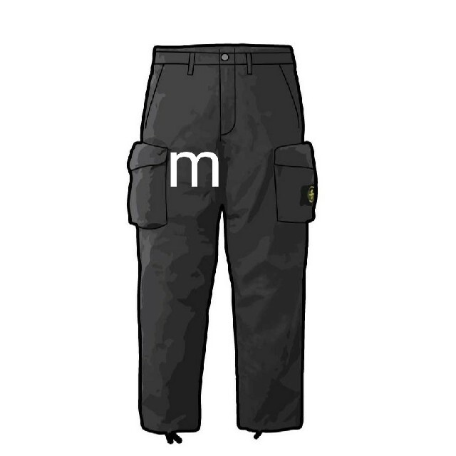 Supreme Stone Island Reactive Ice Pant メンズのパンツ(ワークパンツ/カーゴパンツ)の商品写真