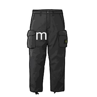 Supreme Stone Island Reactive Ice Pant(ワークパンツ/カーゴパンツ)