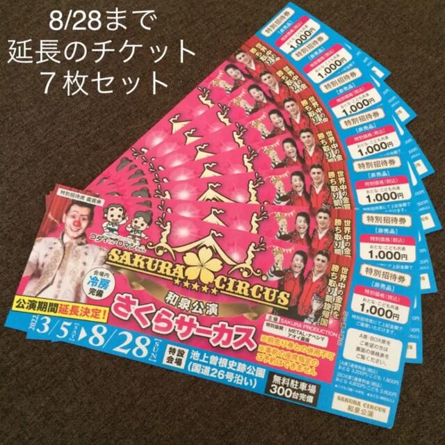 さくらサーカス 和泉公演 特別招待券 非売品 7枚 チケットの演劇/芸能(サーカス)の商品写真
