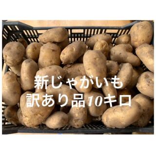 新じゃがいも訳あり品10キロ(野菜)