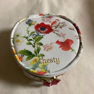 チェスティ(Chesty)のchestyポーチ(ポーチ)