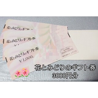 花とみどりのギフト券 3000円分