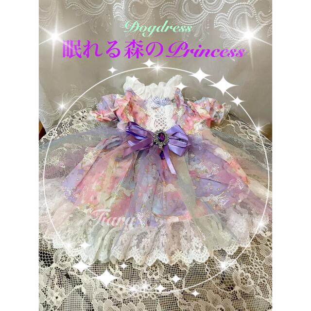 Princessdress　メルヘンドレス　犬服　猫服　キラキラチャーム付　 ハンドメイドのペット(ペット服/アクセサリー)の商品写真