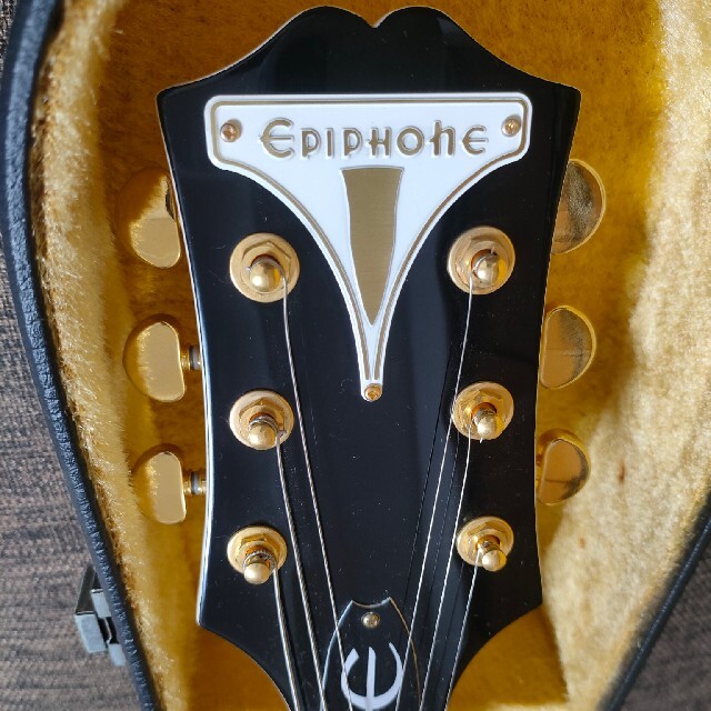 epiphone Wildkat 4