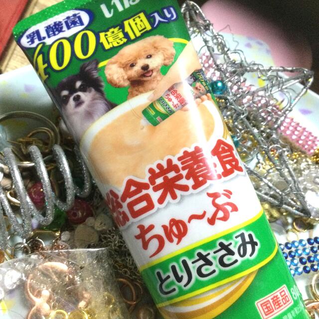 【新品】匿名送料無料　いなば　乳酸菌400総合栄養食ちゅーぶ　80g×１本 | フリマアプリ ラクマ