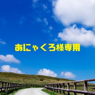 あにゃくろ様専用☆バズ トミカ(ミニカー)