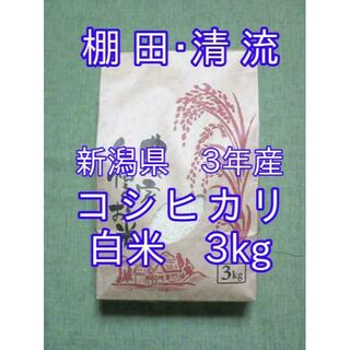 米 新潟県 ３年産 コシヒカリ 白米 ３ｋｇ(３kg×１袋) お米(米/穀物)