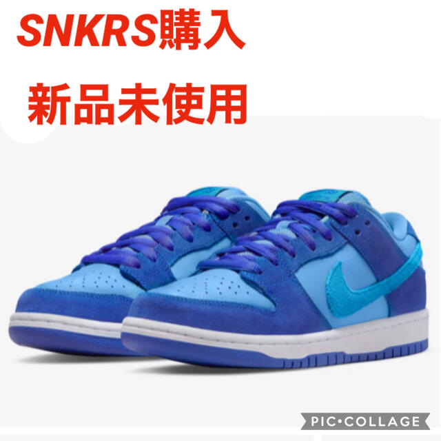 NIKE★DUNK SB ブルーラズベリー 28 ナイキ ダンクメンズ