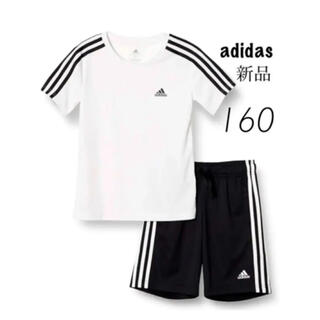 アディダス(adidas)のアディダス 新品 半袖 セットアップ Tシャツ ハーフパンツ 160 ホワイト(その他)