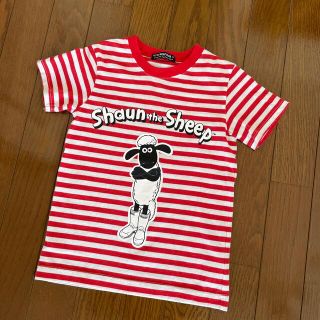 リトルベアークラブ(LITTLE BEAR CLUB)の羊のショーン　ボーダーTシャツ 120(Tシャツ/カットソー)