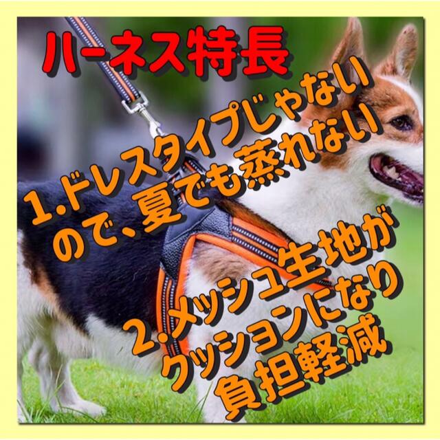 Ｍ中型犬用ハーネスリード２点セット　柔らかなクッションメッシュが◎Ｍサイズ その他のペット用品(犬)の商品写真