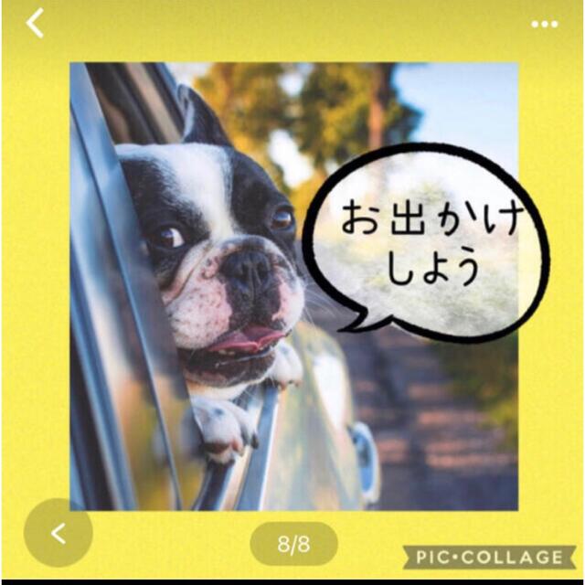 Ｍ中型犬用ハーネスリード２点セット　柔らかなクッションメッシュが◎Ｍサイズ その他のペット用品(犬)の商品写真