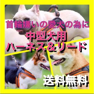 Ｍ中型犬用ハーネスリード２点セット　柔らかなクッションメッシュが◎Ｍサイズ(犬)