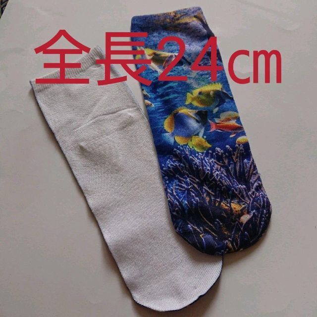 靴下　レディース ソックス  2足組  熱帯魚　癒し　面白靴下 　24㎝ レディースのレッグウェア(ソックス)の商品写真