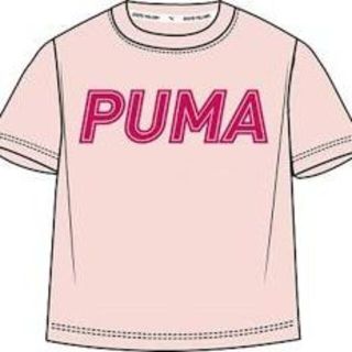 プーマ(PUMA)の新品　puma　Tシャツ　M(Tシャツ(半袖/袖なし))