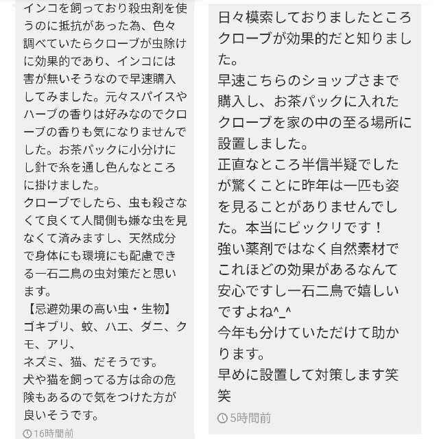 ①段ボール梱包なし 大容量 クローブホール 100g スパイス 食品/飲料/酒の食品(調味料)の商品写真