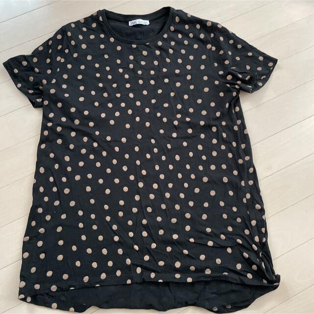 ZARA(ザラ)のザラ　Tシャツ　M レディースのトップス(Tシャツ(半袖/袖なし))の商品写真
