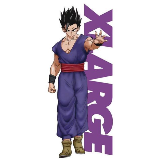 XLARGE(エクストララージ)のエクストララージ ドラゴンボール Tシャツ 悟飯 L メンズのトップス(Tシャツ/カットソー(半袖/袖なし))の商品写真