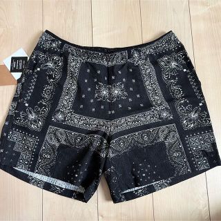 ザノースフェイス(THE NORTH FACE)のTHE NORTH FACE Climbing Summer Short XL(ショートパンツ)