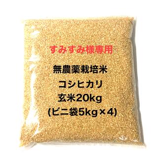 すみすみ様専用 無農薬コシヒカリ玄米20kg(5kg×4)ビニ袋梱包 令和3年産(米/穀物)