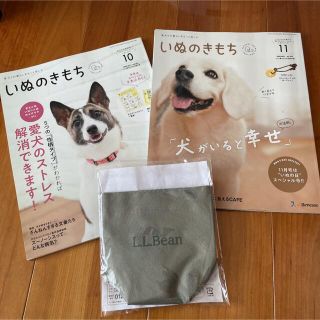 いぬのきもち 2冊 他付録付き(犬)