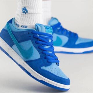 ナイキ(NIKE)のNike SB Dunk Low "Blue Raspberry"(スニーカー)