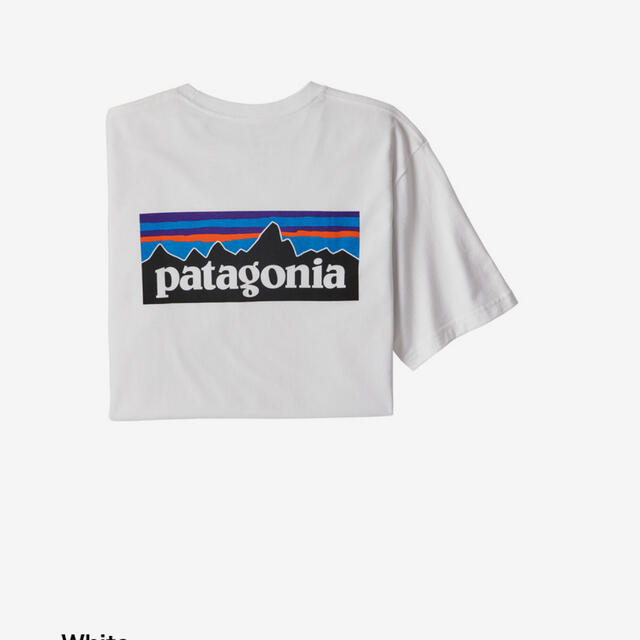 patagonia(パタゴニア)のPatagonia テーシャツメンズ・P-6ロゴ・レスポンシビリティー メンズのトップス(Tシャツ/カットソー(半袖/袖なし))の商品写真