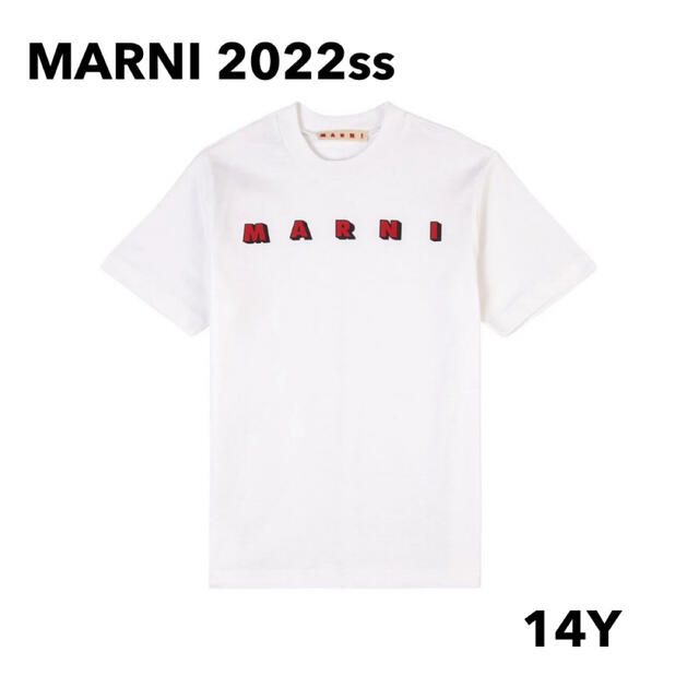 Marni(マルニ)のMARNI 2022ss / ロゴTシャツ レディースのトップス(Tシャツ(半袖/袖なし))の商品写真