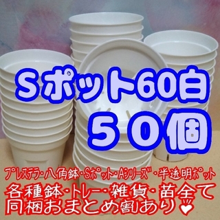 《Sポット60》白 50個 スリット鉢 プラ鉢 2号鉢相当 多肉植物 プレステラ(プランター)