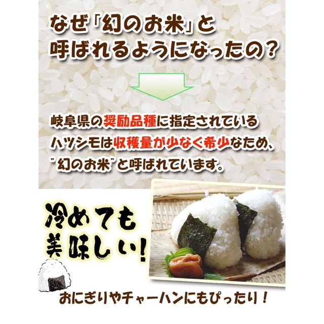 新米　-sei-｜ラクマ　岐阜ブランド米　30kgの通販　by　『岐阜ハツシモ』　玄米　岐阜のお米屋
