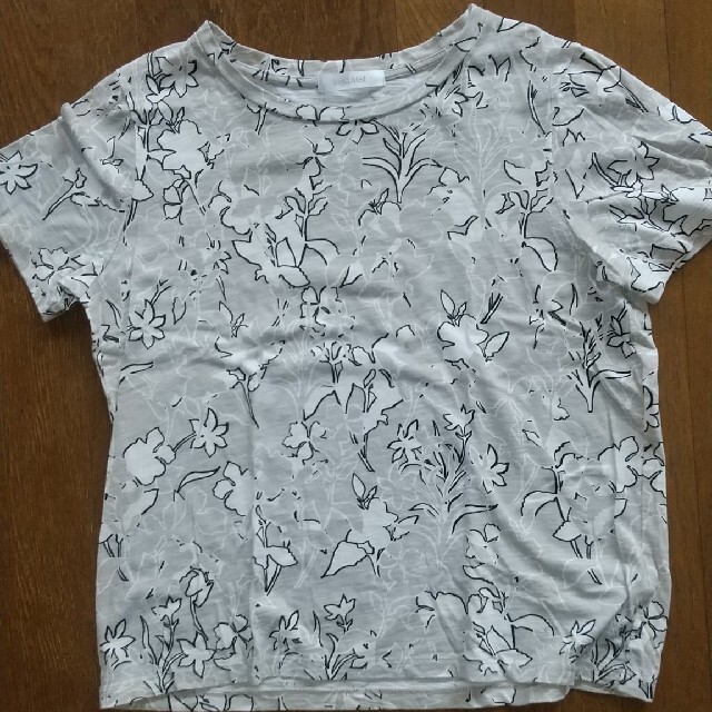 シニアティーシャツ レディースのトップス(Tシャツ(半袖/袖なし))の商品写真