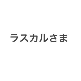 ラスカルさま専用(国内アーティスト)