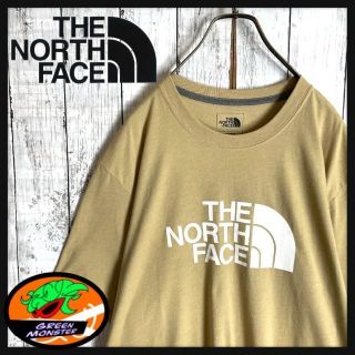 ザノースフェイス(THE NORTH FACE)の【希少カラー☆人気デザイン】ノースフェイス ビッグロゴ Tシャツ(Tシャツ/カットソー(半袖/袖なし))