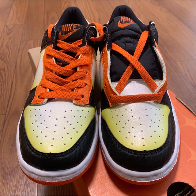 NIKE(ナイキ)のNIKE DUNK LOW PRO B 新品未使用 メンズの靴/シューズ(スニーカー)の商品写真