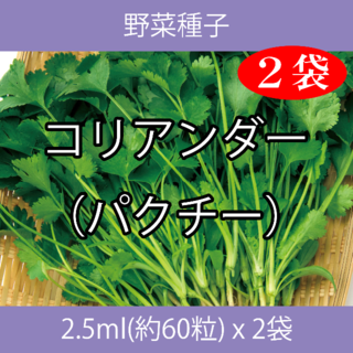 野菜種子 EAB コリアンダー（パクチー） 2.5ml(約60粒) x 2袋(野菜)