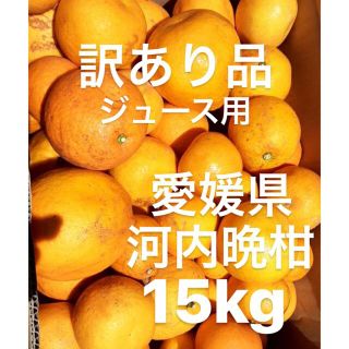 訳あり品　愛媛県産　河内晩柑　宇和ゴールド　柑橘　ジュース用　15kg(フルーツ)