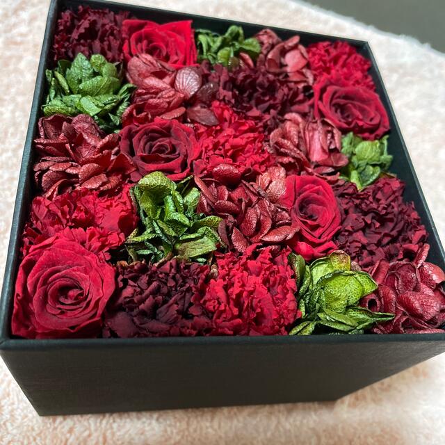 ★TOCCA★ニコライバーグマン FLOWER BOXドレス　薔薇