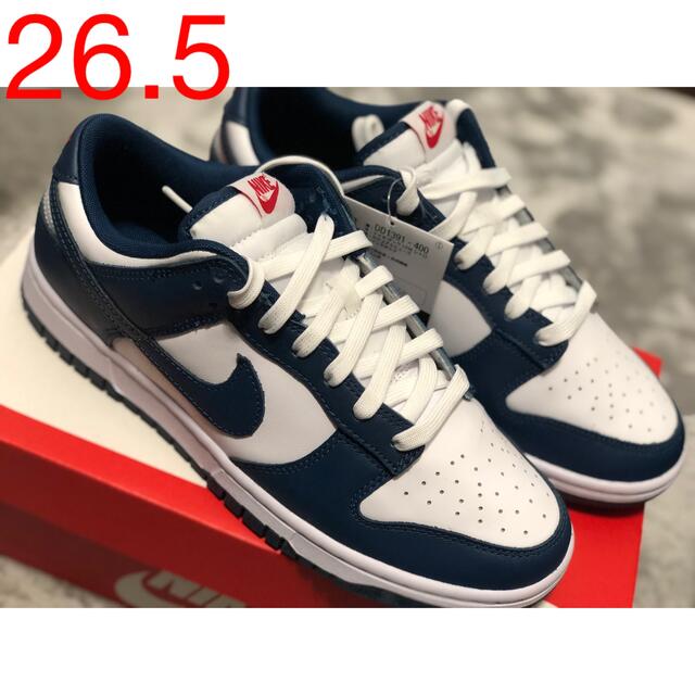 NIKE DUNK バレリアンブルー