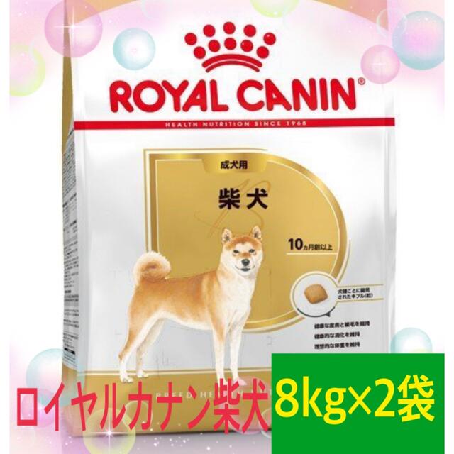 【ロイヤルカナン】柴犬専用フード　成犬用　8キロ×2