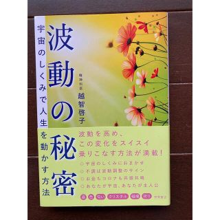 波動の秘密 宇宙のしくみで人生を動かす方法(その他)