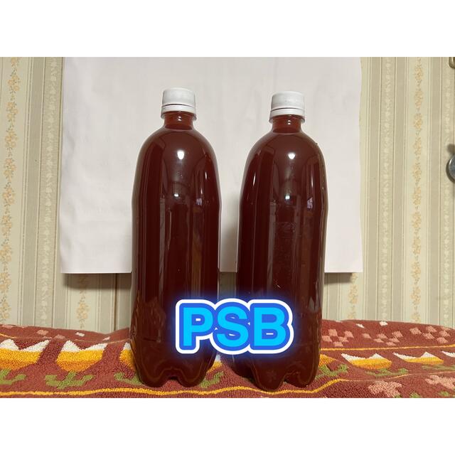 割引クーポン配布中!! PSB 光合成細菌 培養液 4L エビオス30錠 メダカ 通販 PSB 光合成細菌 自家培養 500ml × 5本