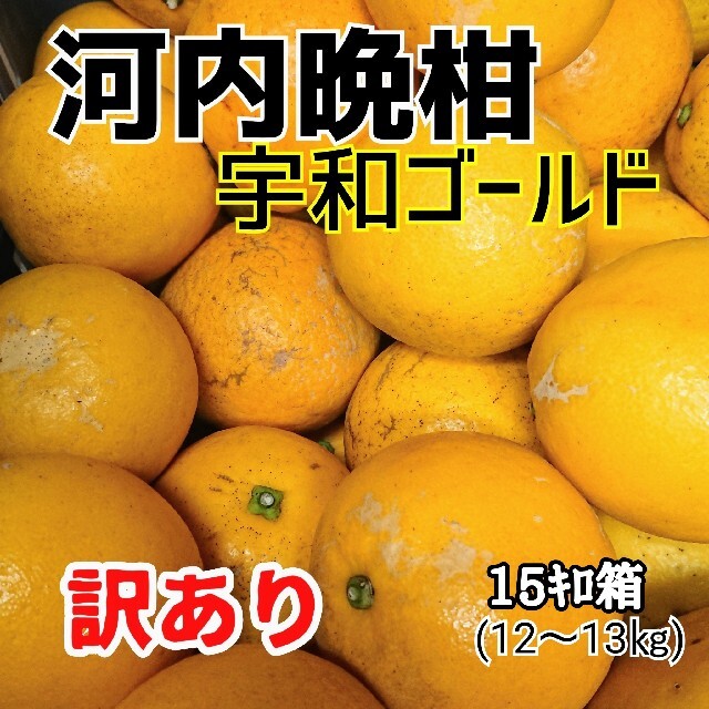 数量限定】愛媛産☆河内晩柑(宇和ゴールド)☆訳ありmix 15キロ箱 愛媛産 河内晩柑10キロ(訳あり)①