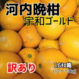 【数量限定】愛媛産☆河内晩柑(宇和ゴールド)☆訳ありmix 15ｷﾛ箱(フルーツ)