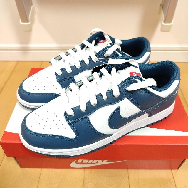 Nike Dunk Low "Valerian Blue"