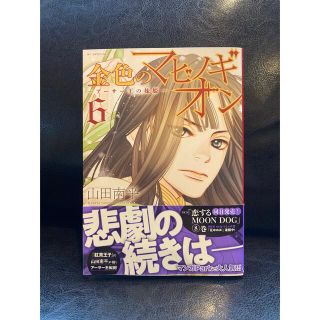 金色のマビノギオン　6巻(少女漫画)