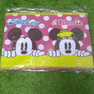 ディズニー(Disney)の収納BOX BIG Disney  ミッキー&ミニー (本収納)
